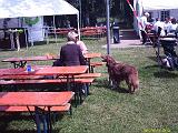 2010 Backfischfest_40